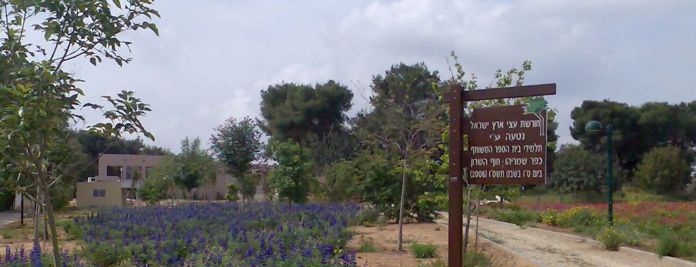 באנר