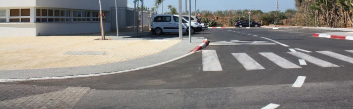 הפרחים