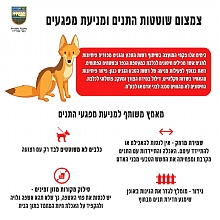 צמצום שוטטות התנים למניעת מפגעים