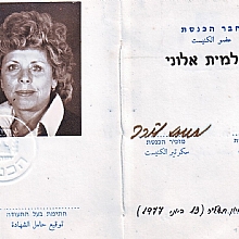 פעילות בכנסת ובממשלה