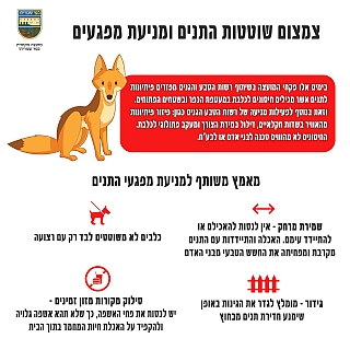 צמצום שוטטות התנים למניעת מפגעים (הגדל)