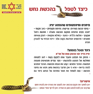 נחשים - הודעה לתושב (הגדל)