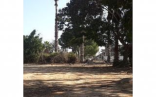 ניקוי שטחים וחצרות (הגדל)