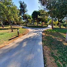 בעלי תפקידים ושעות קבלה