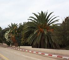 על הכפר