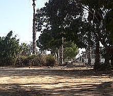 ניקיון שטחים וחצרות